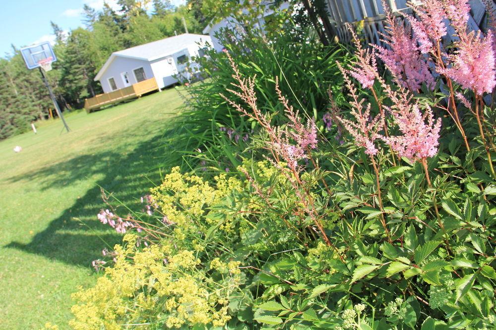 Hidden Acres Cottages Cavendish Luaran gambar